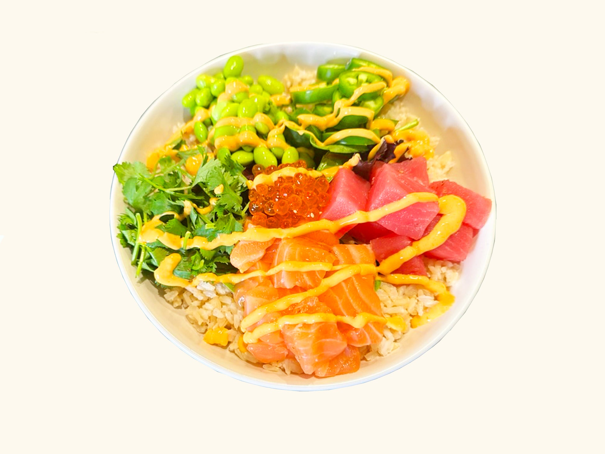 Small Poke Bowl test